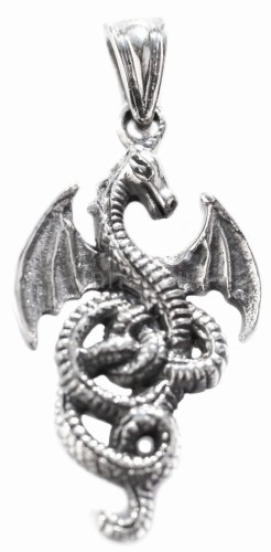 Zawieszka SMOK SERPENTUM srebro  ad31.jpg