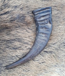 Róg do picia 0,5 l niepolerowany